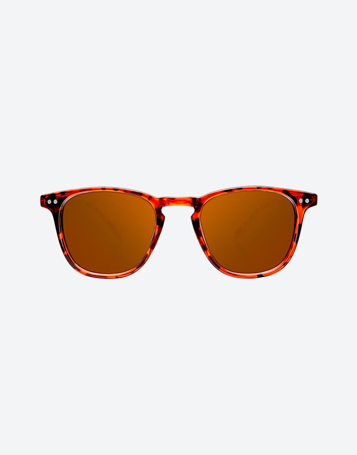 WALL SHINE TORTOISE - AMBAR POLARIZED