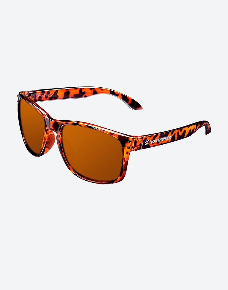 Sunglasses Northweek BOLD SHINE TORTOISE BROWN - AMBAR POLARIZED