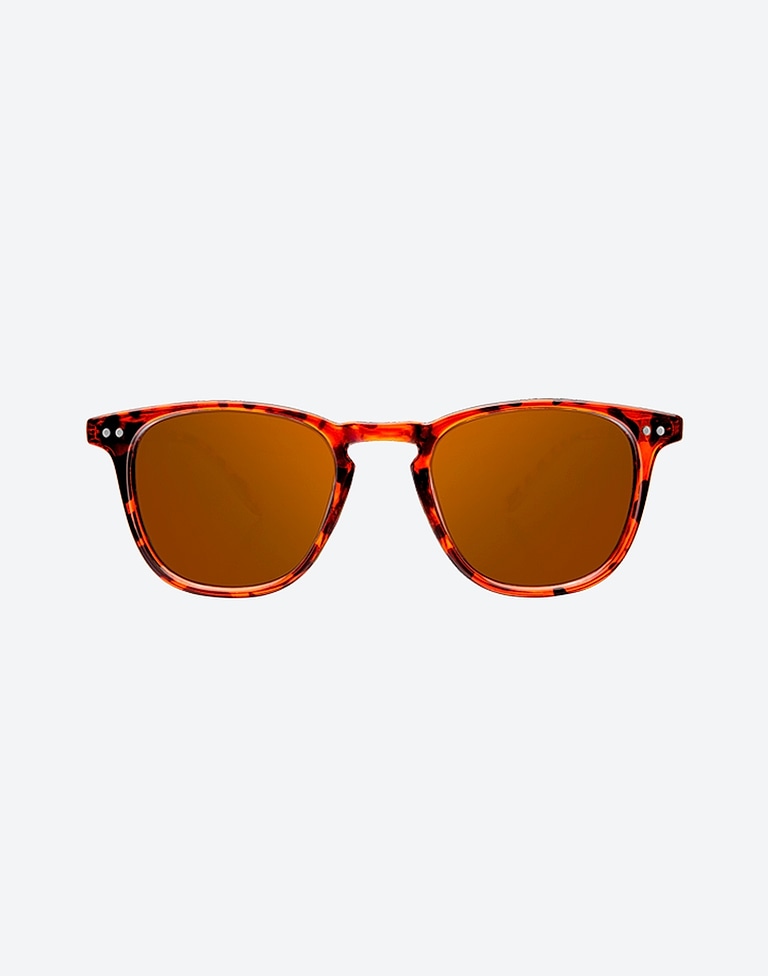 Occhiali da sole Northweek WALL SHINE TORTOISE - AMBAR POLARIZED