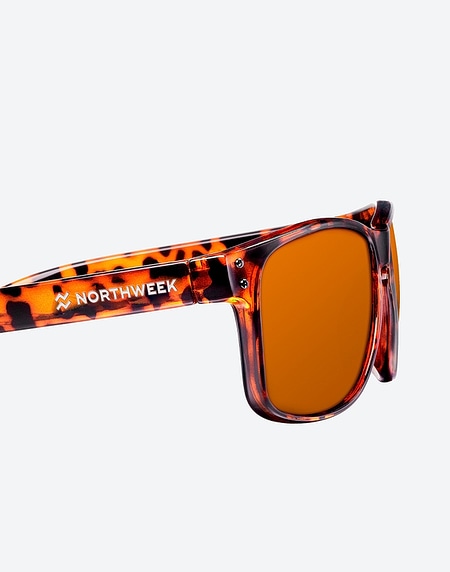 Oculos de sol Northweek BOLD SHINE TORTOISE BROWN - AMBAR POLARIZED