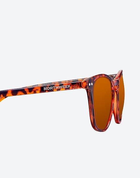 Gafas de sol Northweek WALL SHINE TORTOISE - AMBAR POLARIZED